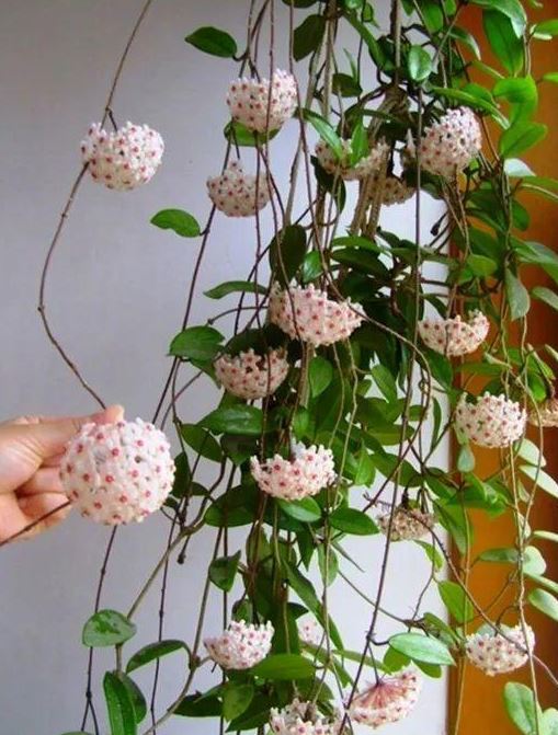 遼陽裝修設(shè)計